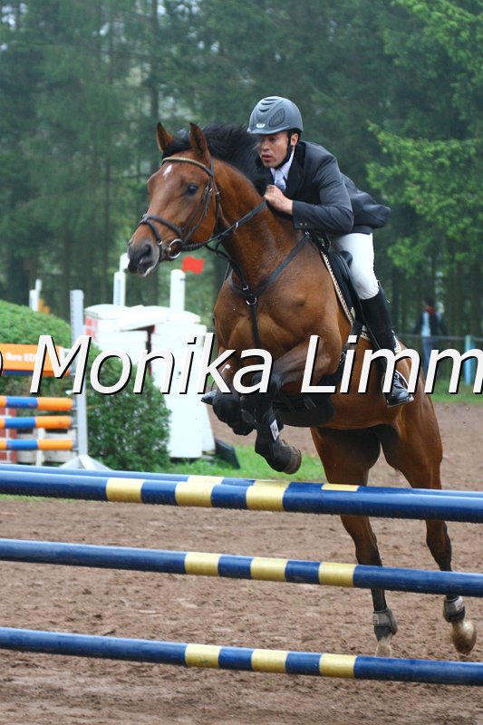 005L4613_Curly_Springpferde A xx.JPG